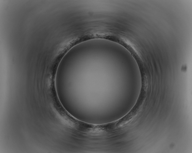 X0000091500451200708161502