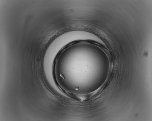 X0000091500452200708161502