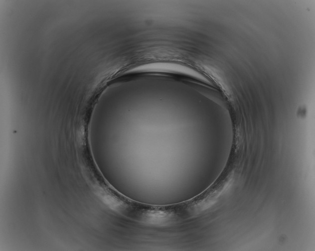 X0000091500453200708161502