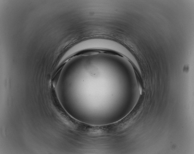 X0000091500454200708161502
