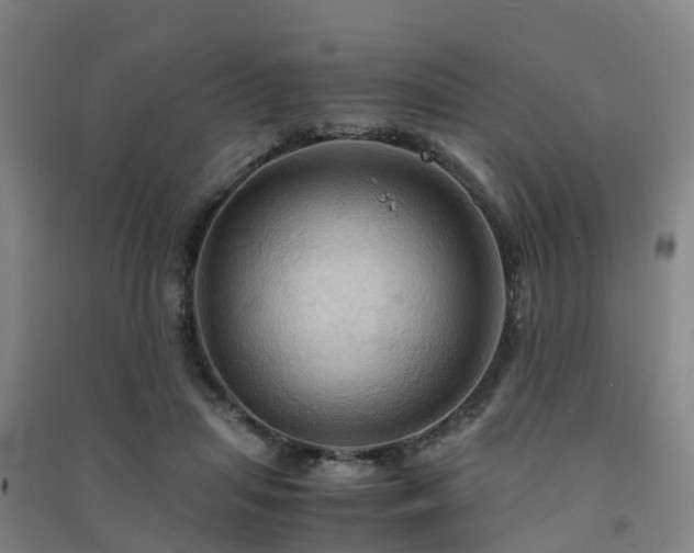 X0000091500455200708161502