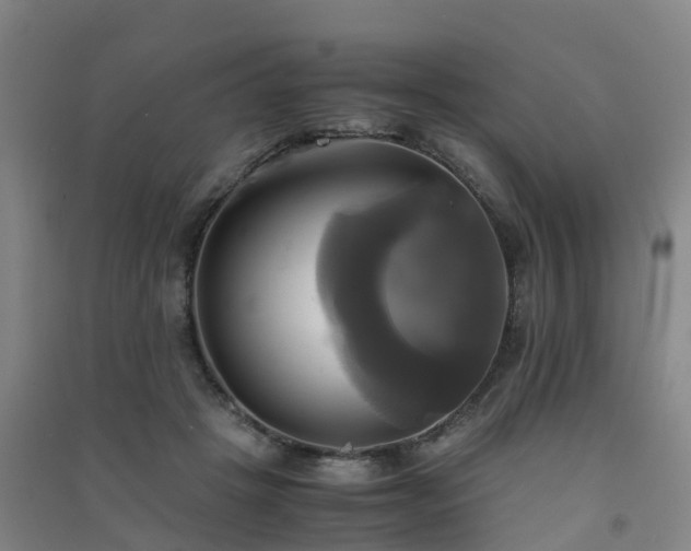 X0000091500457200708161502