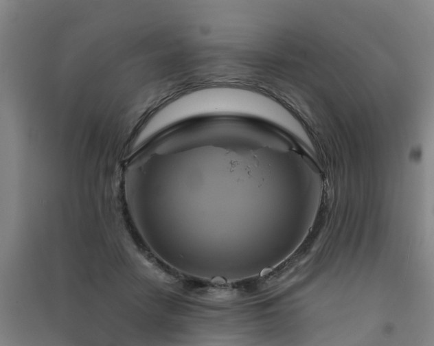 X0000091500458200708161502
