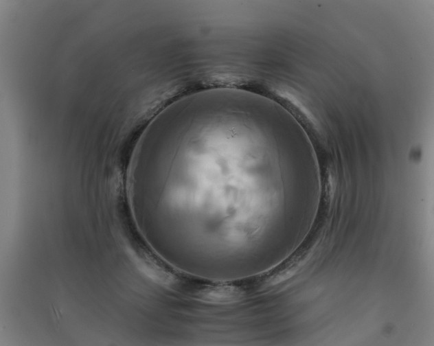 X0000091500459200708161502