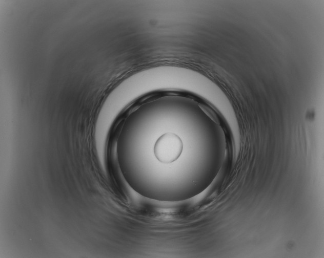 X0000091500460200708161502