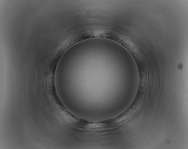 X0000091500461200708161502