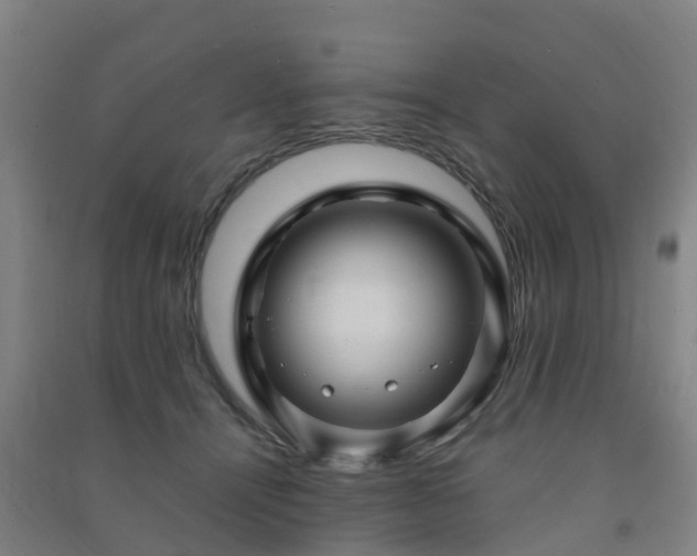 X0000091500464200708161502