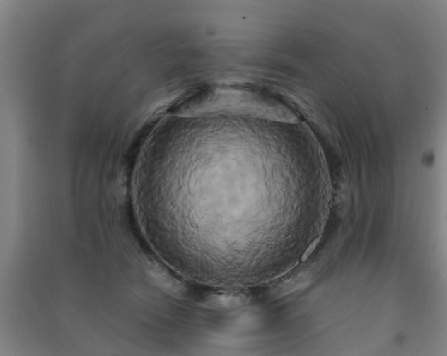 X0000091500466200708161502