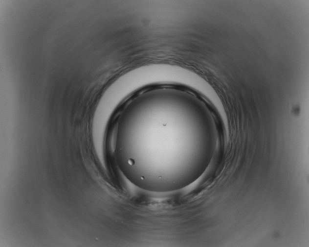 X0000091500468200708161502
