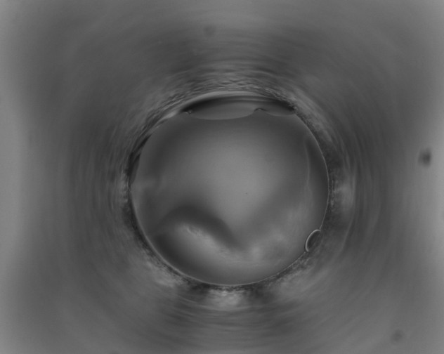 X0000091500469200708161502