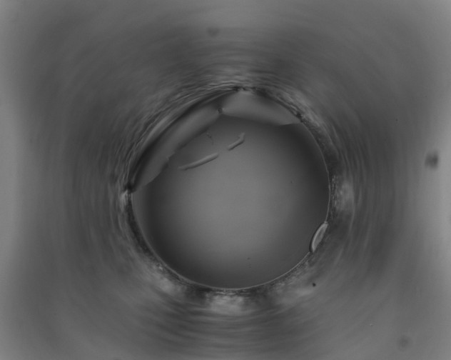 X0000091500471200708161502