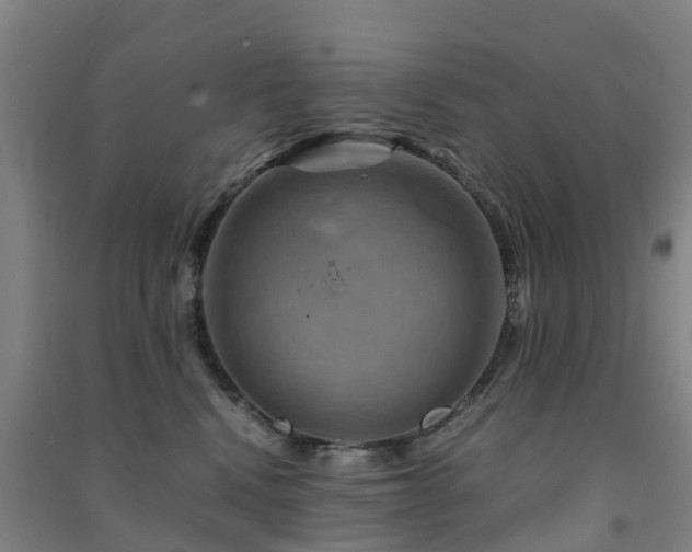 X0000091500472200708161502