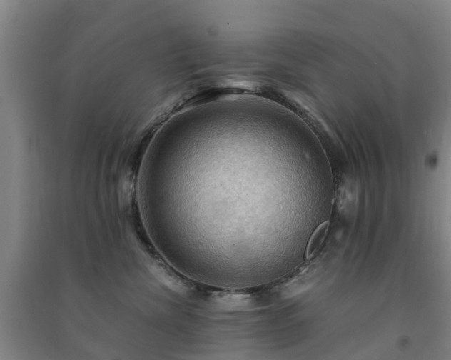 X0000091500476200708161502