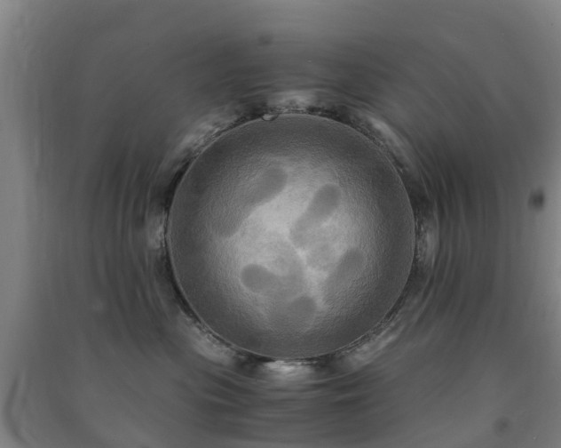 X0000091500477200708161502