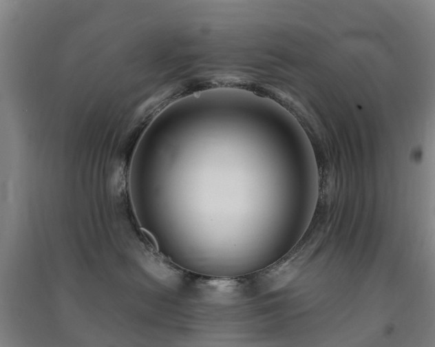 X0000091500478200708161502