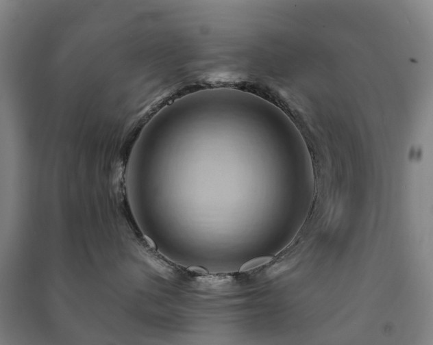 X0000091500480200708161502