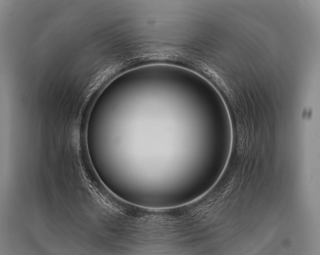 X0000091500482200708161502