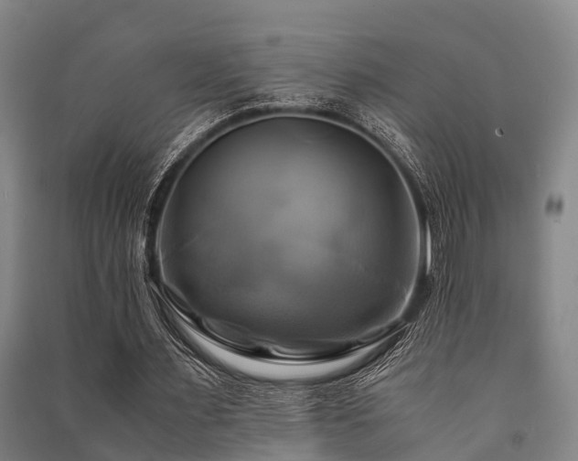 X0000091500483200708161502