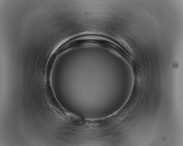X0000091500484200708161502