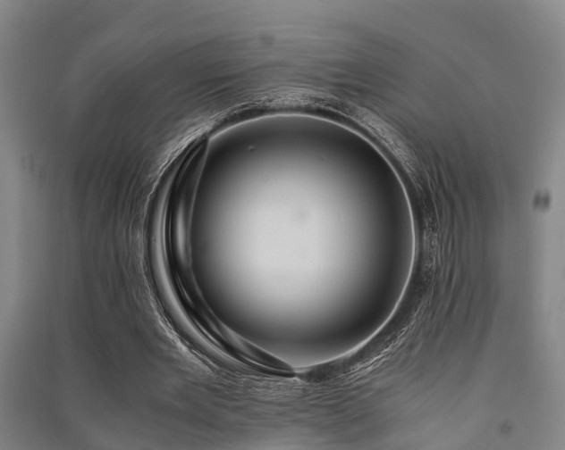 X0000091500485200708161502