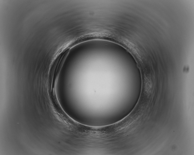 X0000091500486200708161502