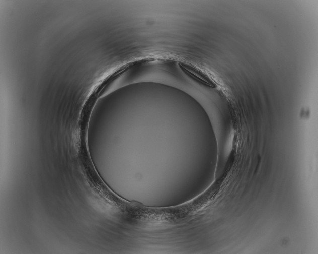 X0000091500488200708161502