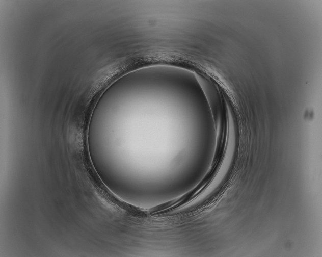 X0000091500489200708161502