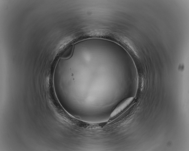 X0000091500491200708161502