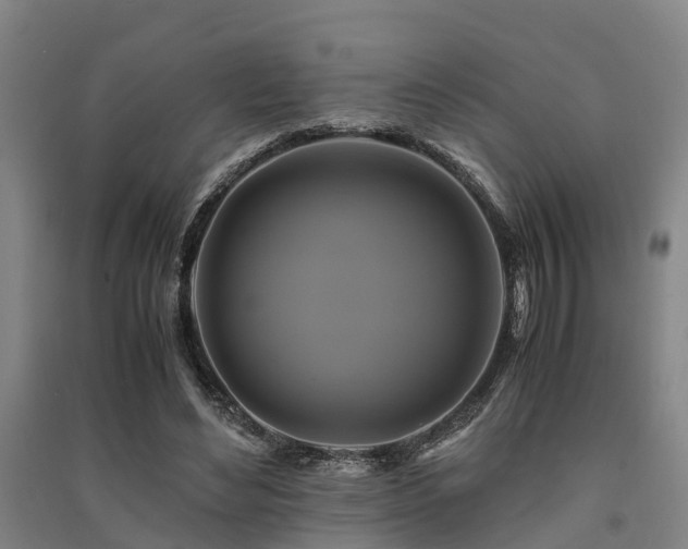 X0000091500492200708161502