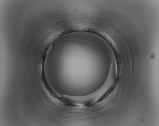 X0000091500493200708161502