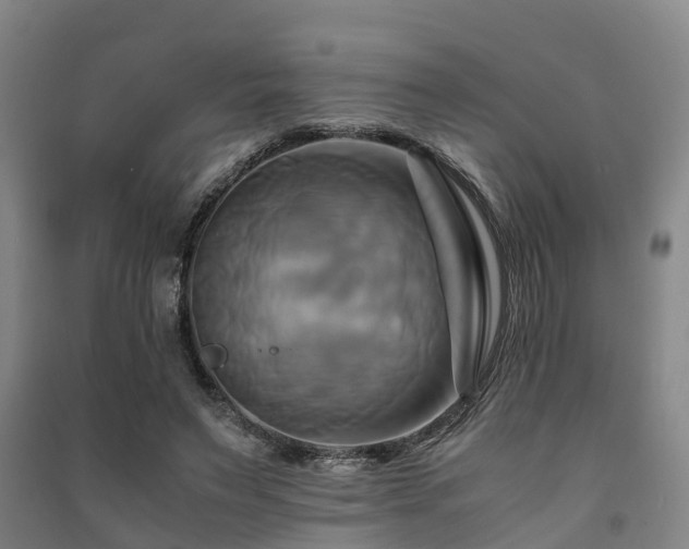 X0000091500495200708161502