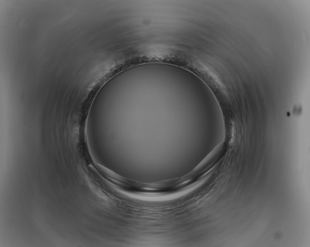 X0000091500496200708161502