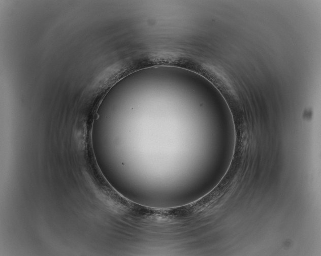 X0000091500498200708161501