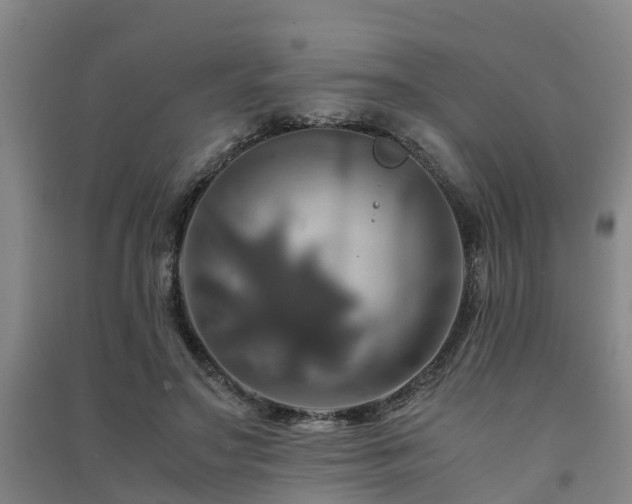 X0000091500499200708161501
