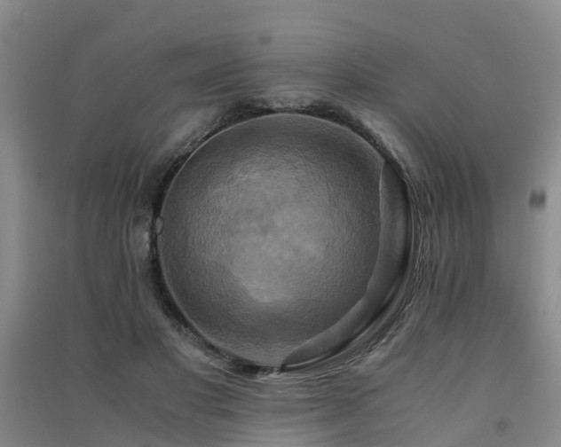 X0000091500501200708161501