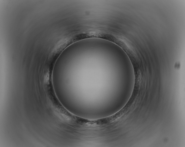 X0000091500502200708161501