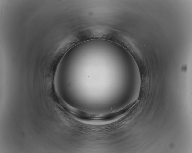 X0000091500505200708161501