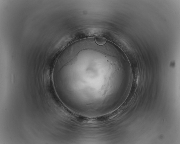 X0000091500506200708161501
