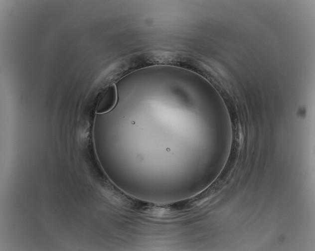 X0000091500507200708161501