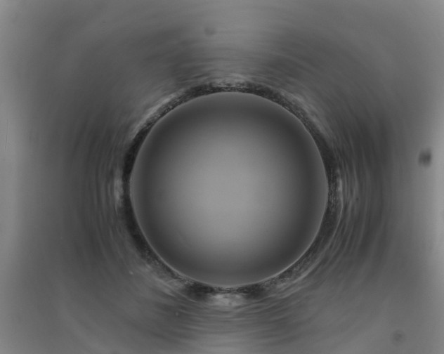 X0000091500508200708161501