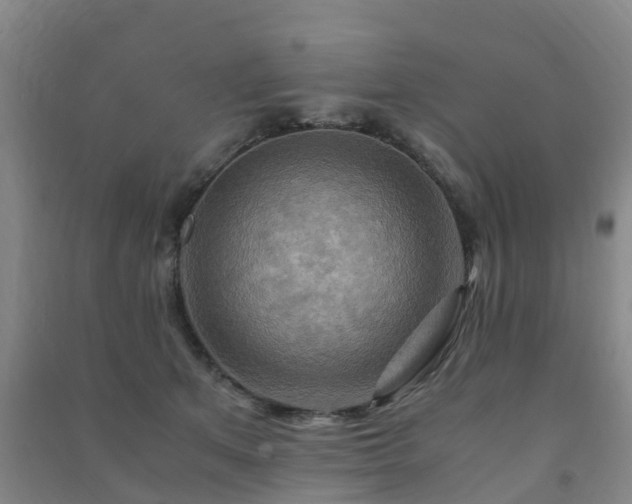 X0000091500513200708161501