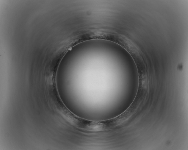 X0000091500514200708161501