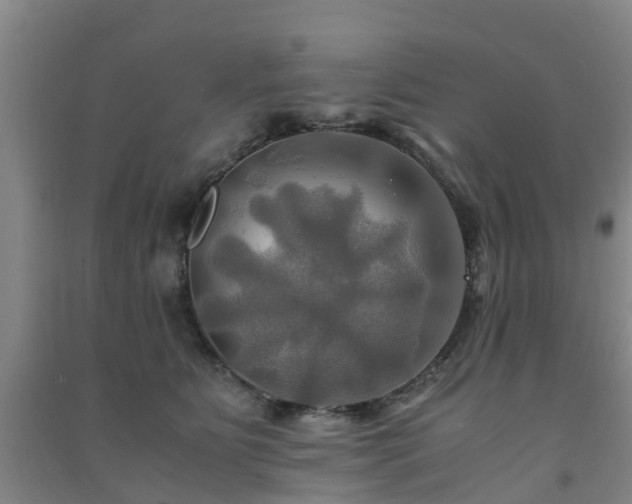 X0000091500515200708161501