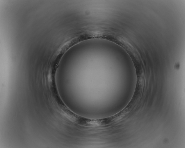 X0000091500516200708161501