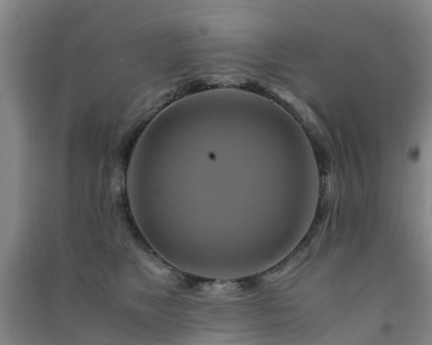 X0000091500517200708161501