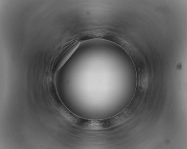 X0000091500518200708161501