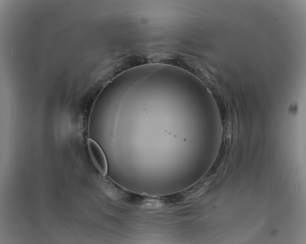 X0000091500519200708161501