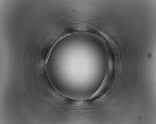 X0000091500521200708161501