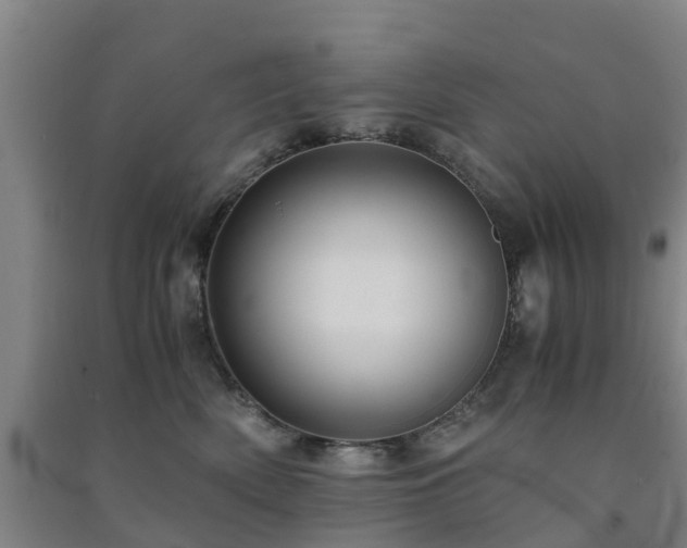 X0000091500522200708161501