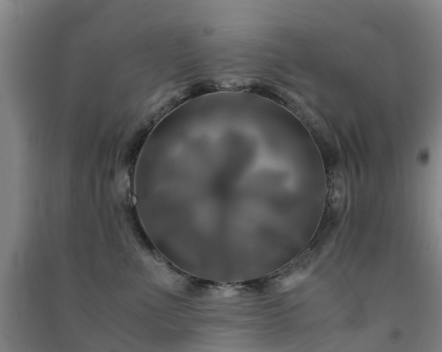 X0000091500523200708161501